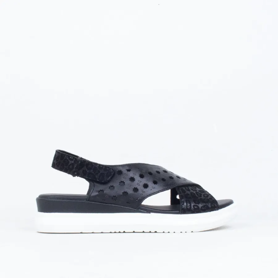 Flat^Cassini Mooli Sandal BlackCombo