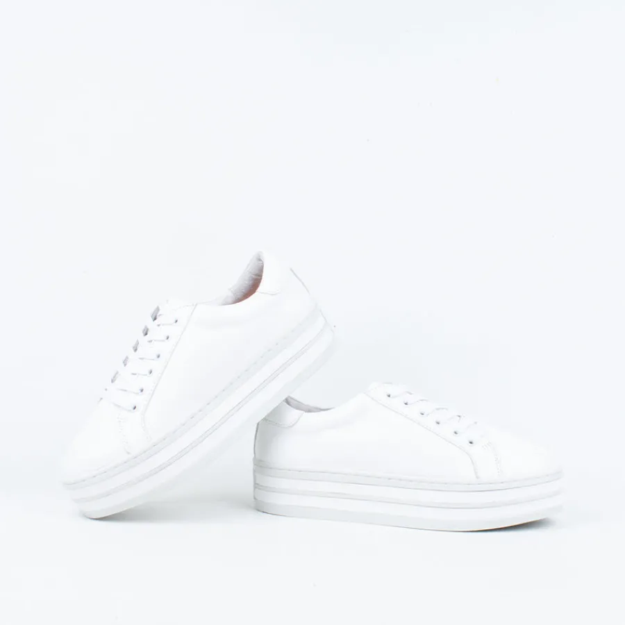 Lace Up^Alfie and Evie Oracle Sneaker White