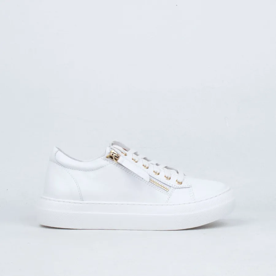 Lace Up^Gelato Zackie Sneaker White