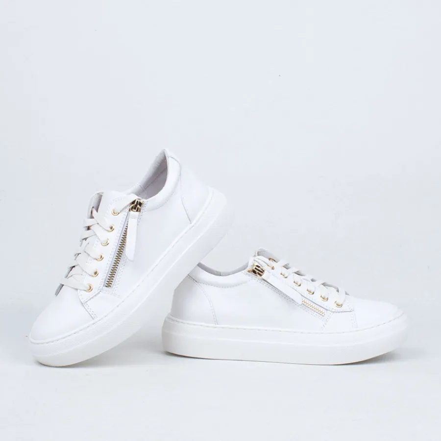 Lace Up^Gelato Zackie Sneaker White